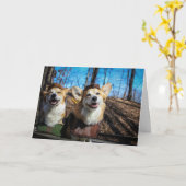 Corgi Robin Hood-Blindkarte Karte (Gelbe Blume)