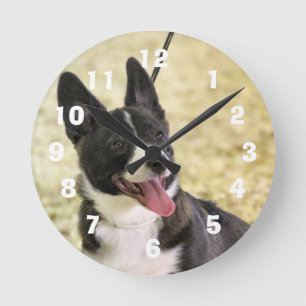 Corgi Runde Wanduhr