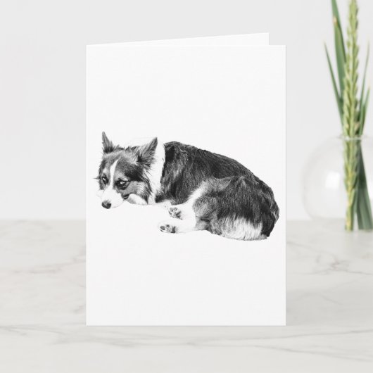 Corgi Schatten, warme Wünsche Karte (Vorderseite)
