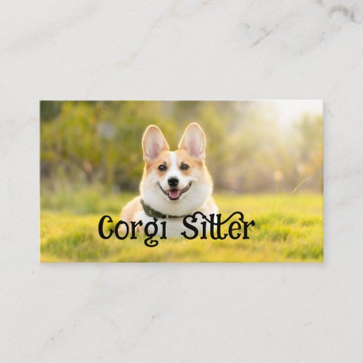 Corgi-Sitter Visitenkarte (Vorderseite)