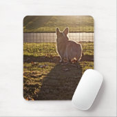 Corgi-Sonnenaufgang Mousepad (Mit Mouse)