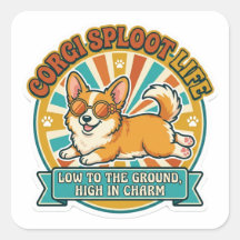 Corgi Sploot Leben - Niedrig Am Boden Hoch In Char