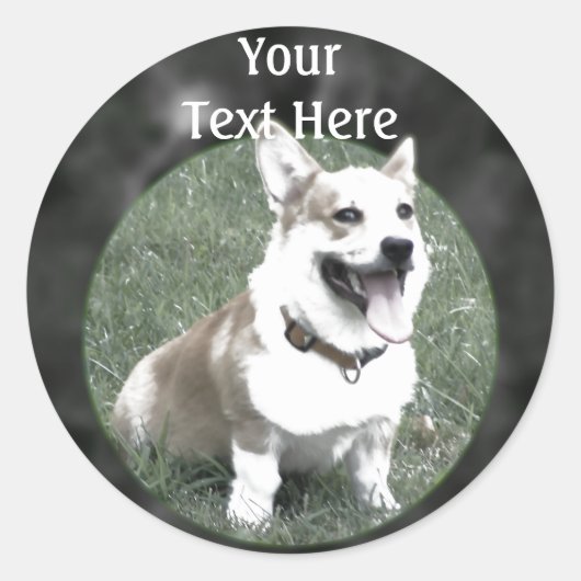 Corgi Sticker (Vorderseite)