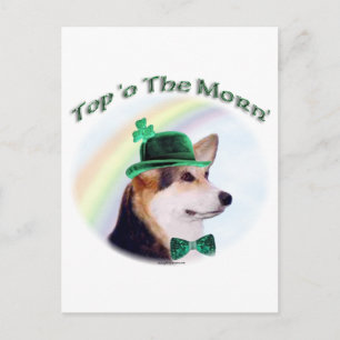 Corgi Top of the Morn'; Corgi St. Patrick's Day Postkarte