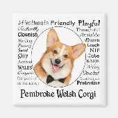 Corgi Traits Magnet (Vorne)