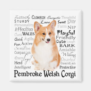 Corgi Traits Magnet