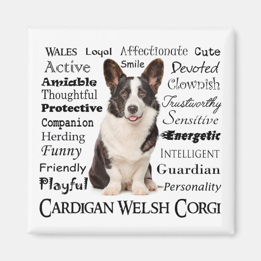 Corgi Traits Magnet (Vorne)