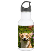 CORGi Trinkflasche (Vorderseite)