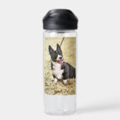 Corgi Trinkflasche (Rückseite)