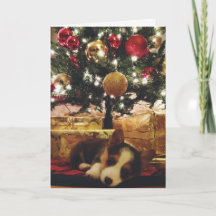 Corgi-Weihnachtskarte