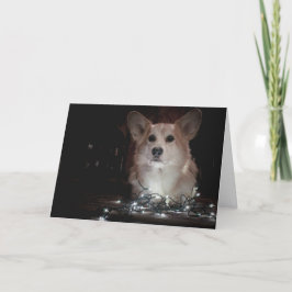 Corgi Weihnachtskarte Karte