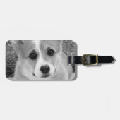 Corgi-Welpe Gepäckanhänger (Vorderseite horizontal)