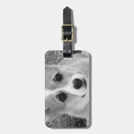 Corgi-Welpe Gepäckanhänger (Vorderseite vertikal)