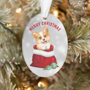 Corgi Welpe Hund Geschenk Überraschung Ornament