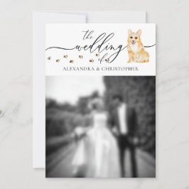 Corgi Welpe Wedding Foto Einladung