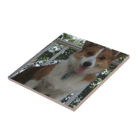Corgi-Welpen-Fliese Fliese (Seite)