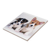 Corgi-Welpen-Keramik-Fliese Fliese (Seite)