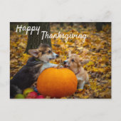 Corgi Welpen mit Pumpkin Happy Thanksgiving Postkarte (Vorderseite)