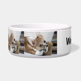Corgi-Welpen"wir Liebe Corgis-" Napf