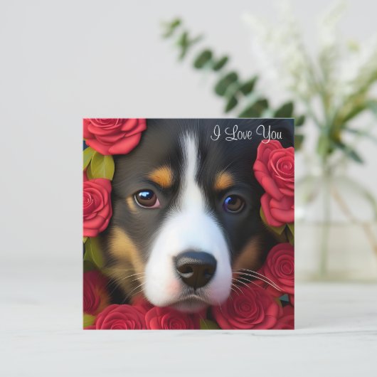 Corgi Welppy in rote Rosen (Stehend Vorderseite)