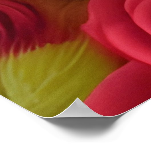 Corgi Welppy in rote Rosen Poster (Ecke)