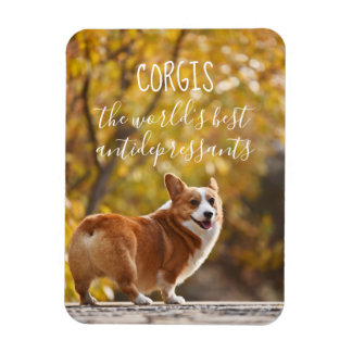 Corgis Die besten Antidepressiva der Welt Magnet