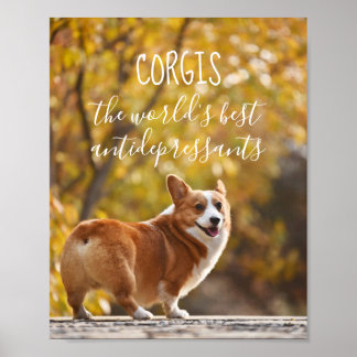 Corgis Die besten Antidepressiva der Welt Poster