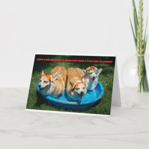 Corgis in einem Pool Geburtstagskarte Karte