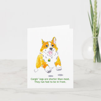 Corgis lassen schnelle Karte laufen