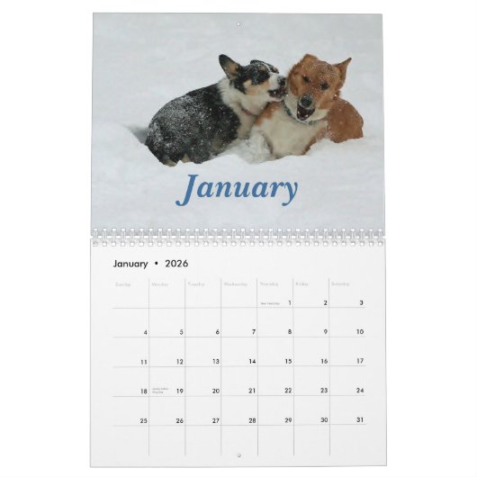 Corgis unterwegs2013 kalender (Jan 2026)
