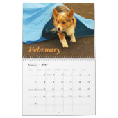 Corgis unterwegs2013 kalender (Feb 2027)