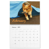 Corgis unterwegs2014 kalender (Feb 2027)
