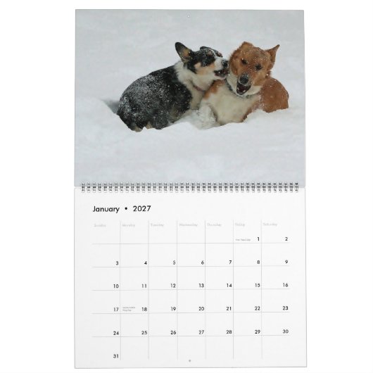 Corgis unterwegs2014 kalender (Jan 2027)