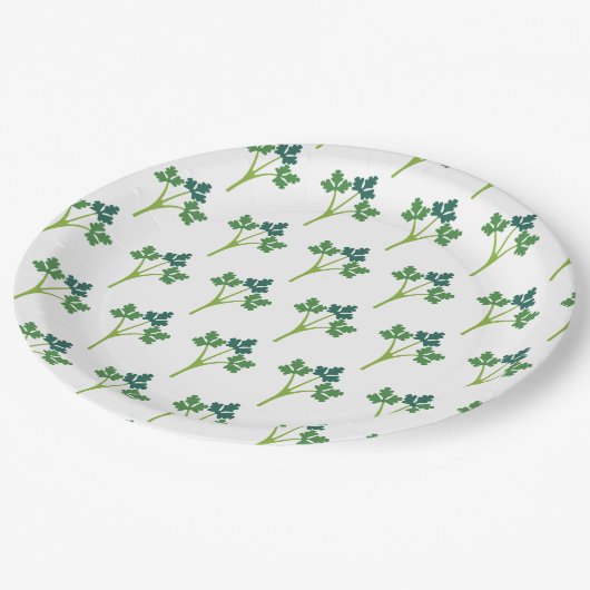 Coriandre Pappteller (Schrägansicht)