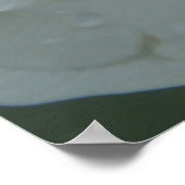 Corinthians 13:13 Bibelverse Weißrosendruck Poster (Ecke)