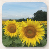 Cork Coaster with Sunflower Getränkeuntersetzer (Vorderseite)