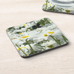 Cork Coasters gifts White Daisy Flowers Daisies Getränkeuntersetzer
