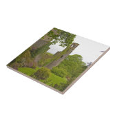 Cork, Irland. Das berüchtigte Schloss Blarney 2 Fliese (Seite)