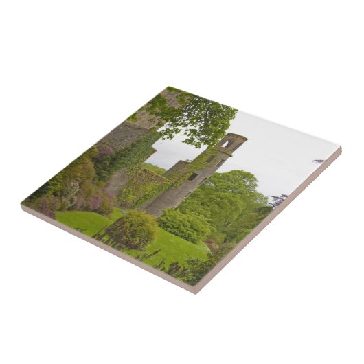 Cork, Irland. Das berüchtigte Schloss Blarney 2 Fliese (Seite)