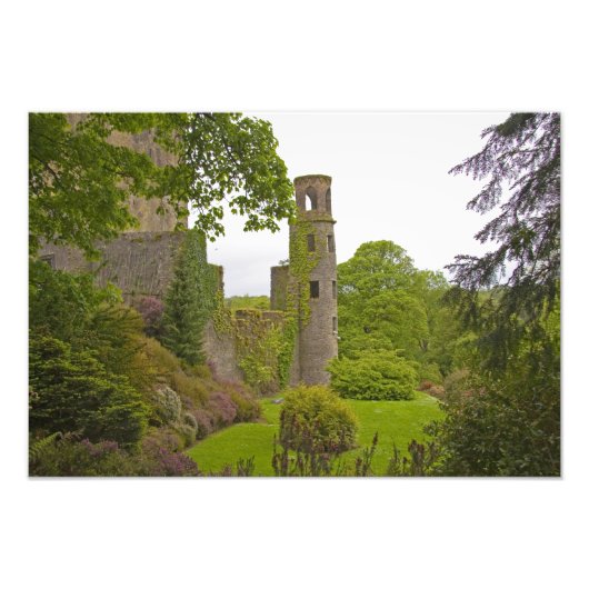Cork, Irland. Das berüchtigte Schloss Blarney 2 Fotodruck (Vorne)
