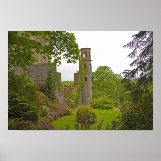 Cork, Irland. Das berüchtigte Schloss Blarney 2 Poster (Vorne)