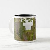Cork, Irland. Das berüchtigte Schloss Blarney 2 Zweifarbige Tasse (Vorderseite Links)
