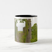 Cork, Irland. Das berüchtigte Schloss Blarney 2 Zweifarbige Tasse (Mittel)