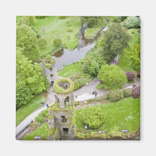 Cork, Irland. Das berüchtigte Schloss Blarney Magnet (Vorne)