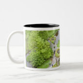 Cork, Irland. Das berüchtigte Schloss Blarney Zweifarbige Tasse (Links)