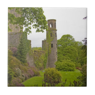 Cork, Irland. Die berüchtigte Burg Blarney 2 Fliese