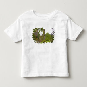 Cork, Irland. Die berüchtigte Burg Blarney 2 Kleinkind T-shirt