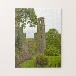 Cork, Irland. Die berüchtigte Burg Blarney 2 Puzzle
