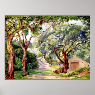 Cork Trees at Cintra near Lissabon, Poster