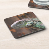 Cork Untersetzer mit farbenfroher Iguana-Eidechse (Linke Seite)